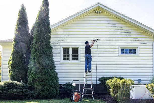 Best Eco-Friendly Pressure Washing in Woodville, WI